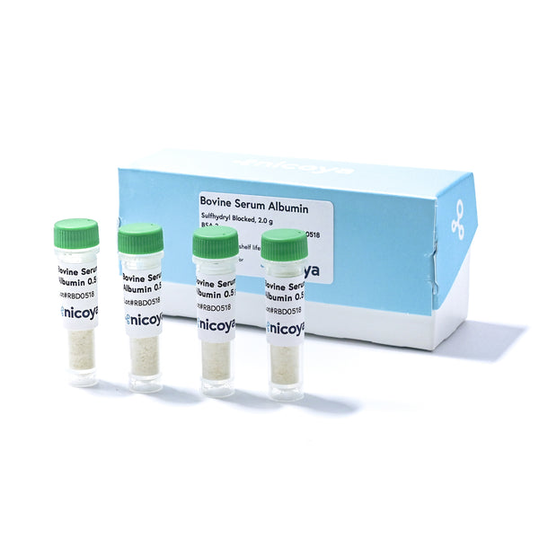 Bovine Serum Albumin