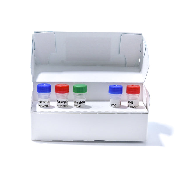 Protein A Sensor Kit