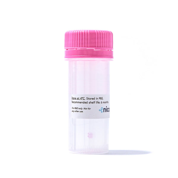 Protein A Sensor Kit