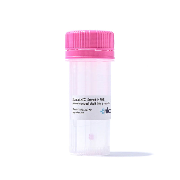 SPR Oligonucleotide Education Kit